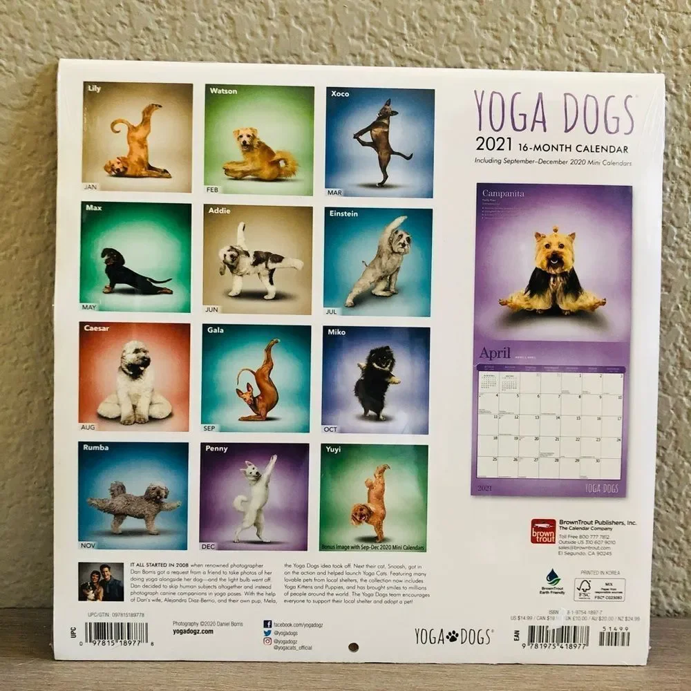 Yoga Dogs Posing Dog Wall Art Decor Calendar